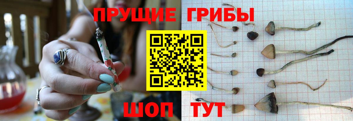 Галлюциногенные грибы Psilocybine cubensis  Вход с VPN  Воскресенск 